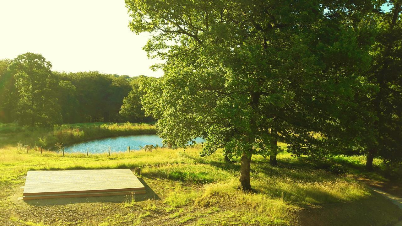 L'Etape En Foret Saint-Sever-Calvados Buitenkant foto