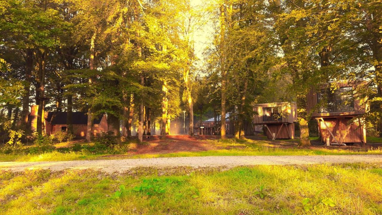 L'Etape En Foret Saint-Sever-Calvados Buitenkant foto